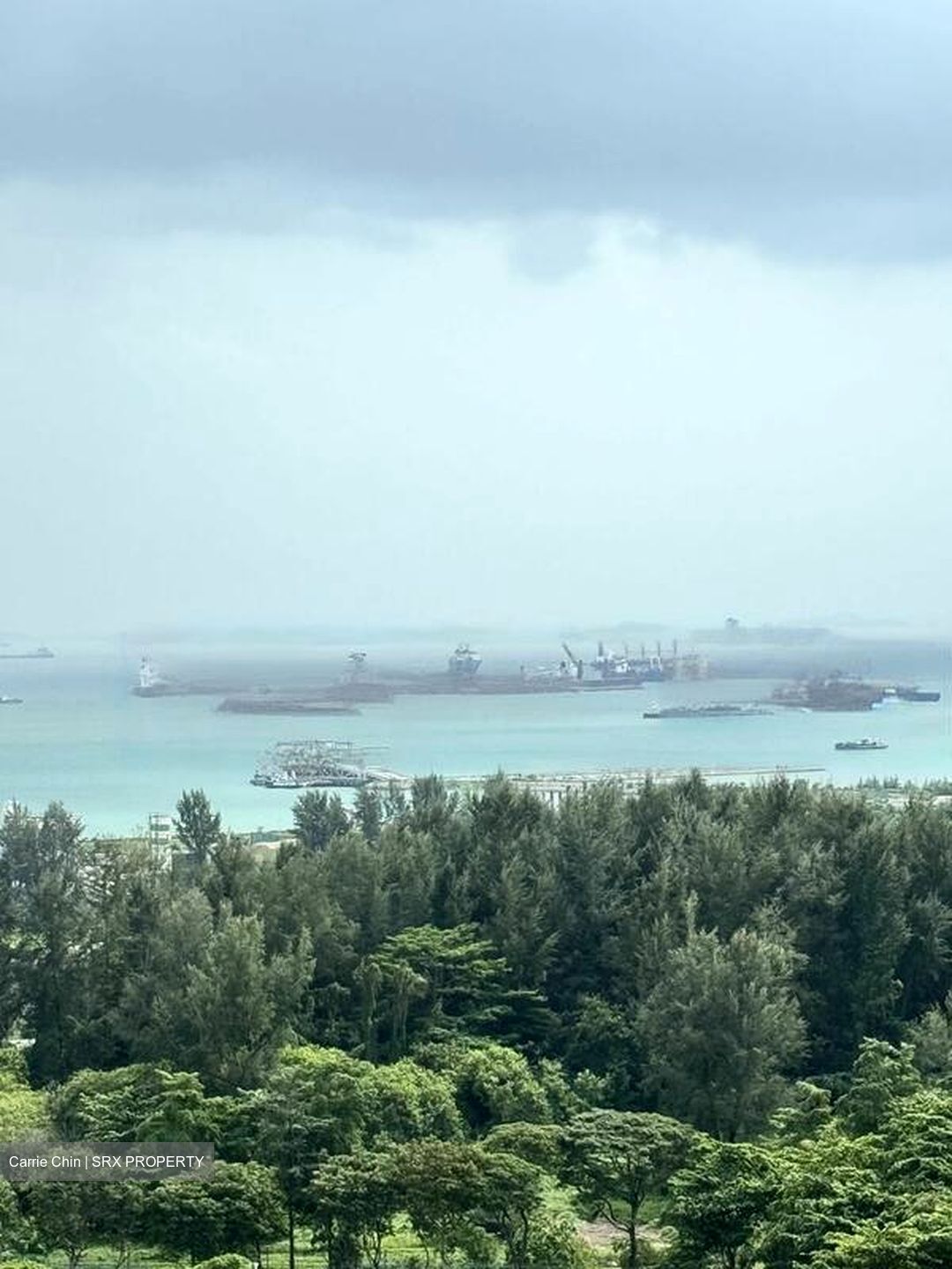 The Line @ Tanjong Rhu (D15), Condominium #480424991